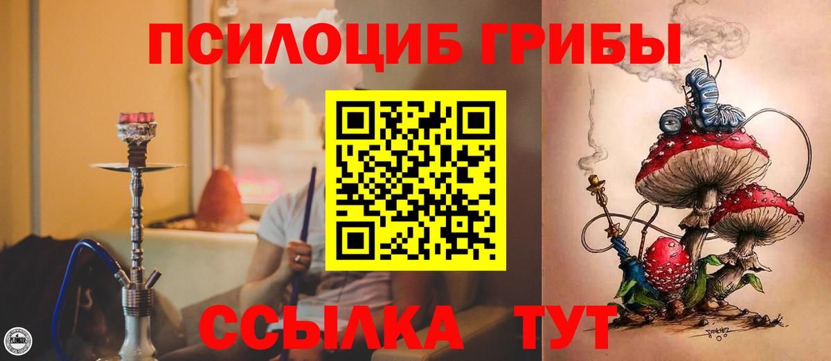 Салехард  Псилоцибиновые грибы ЛСД  Вход с VPN 